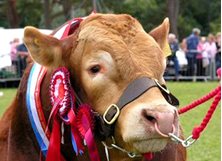 peebles - Peebles Agricultural Show