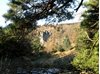 Picture of Old Manor Bridge via  Sware and Tweed Walk