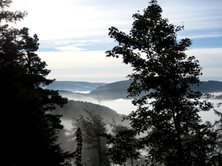 peebles - Glentress Forest - Walking