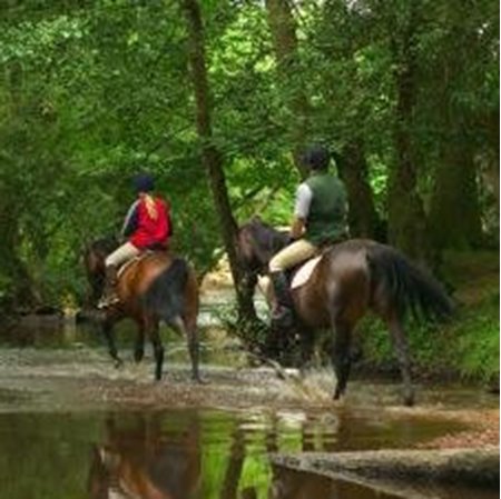 View Horse Riding in Peebles