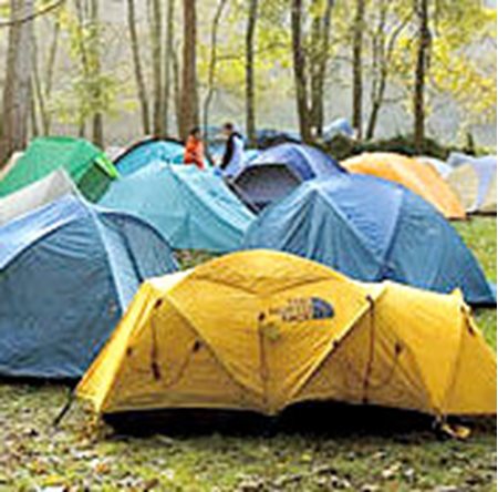 View Caravan/Campsites in Peebles