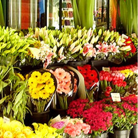 View Florists in Peebles