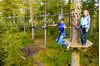 Picture of Go Ape Peebles