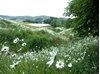 Picture of Glentress Peel