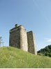 Picture of Neidpath Castle ( 14th c. )