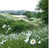 Picture of Glentress Peel